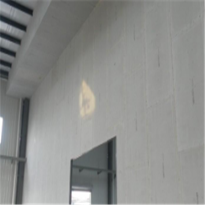 带岭宁波ALC板|EPS加气板隔墙与混凝土整浇联接的实验研讨